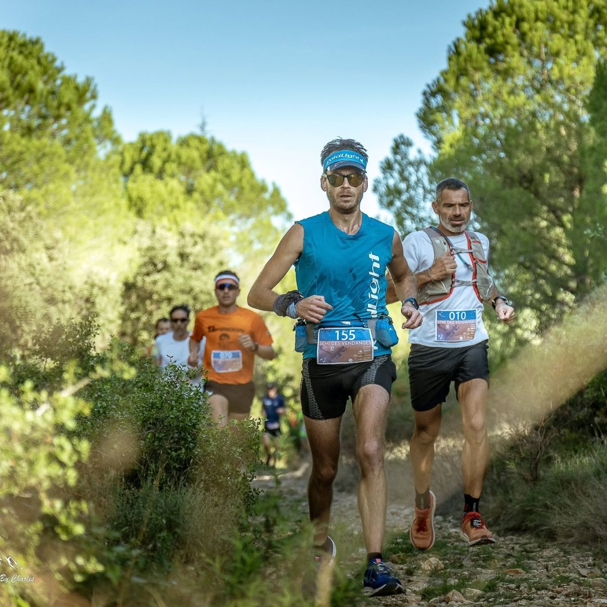 Trail des vendanges