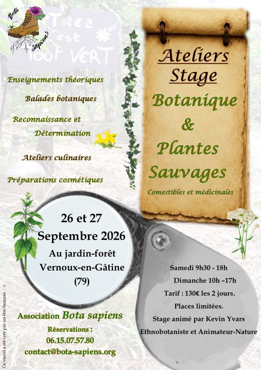 Stage Botanique et Plantes sauvages