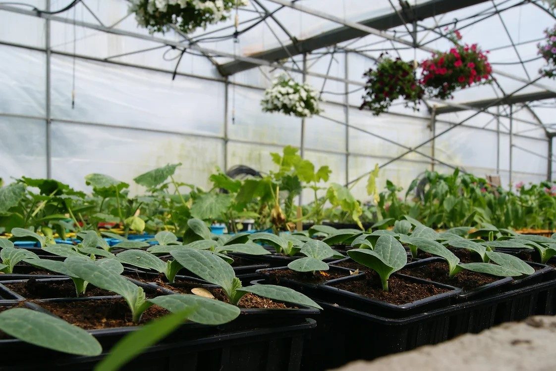 Les Jardins de Samba