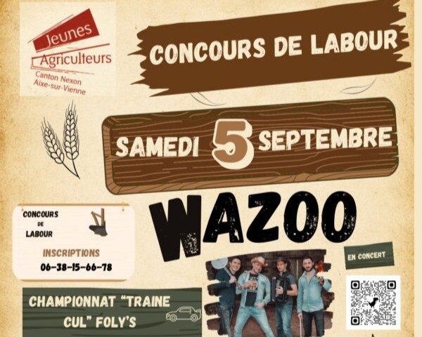 Concours cantonal de labour