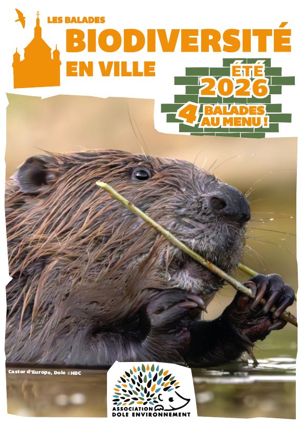 Balade biodiversité en ville - L'esquissée