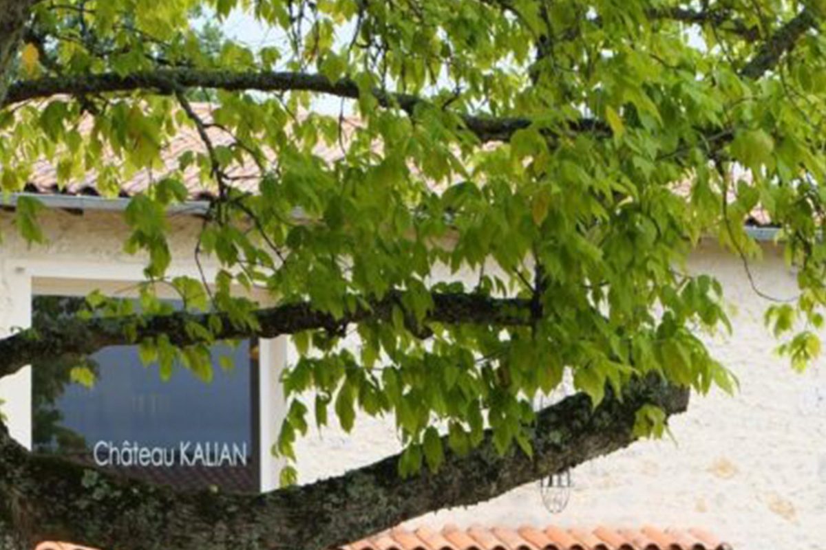 Château Kalian | Jeux & dégustation