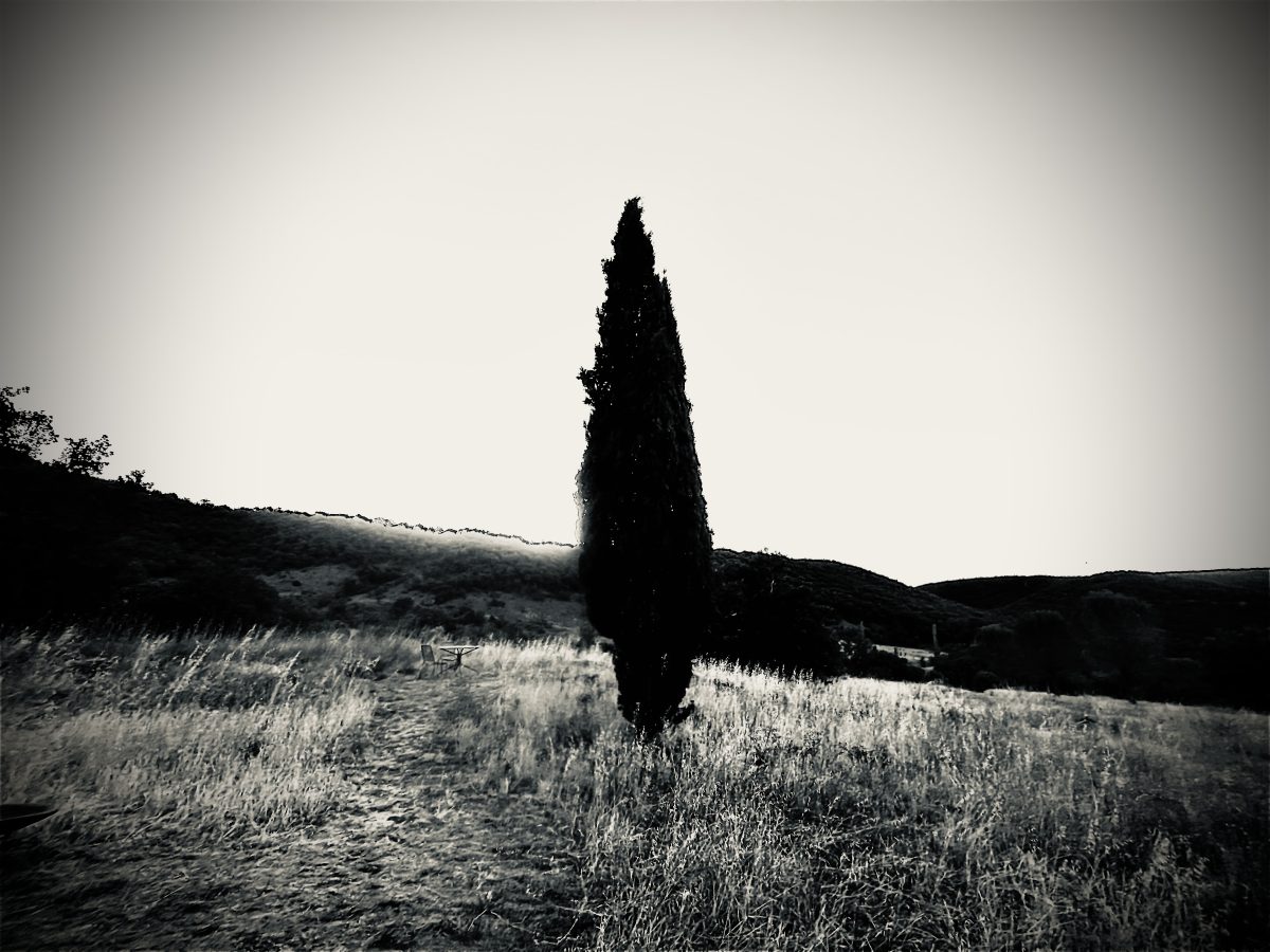 Journées du Patrimoine - Atelier photographique
