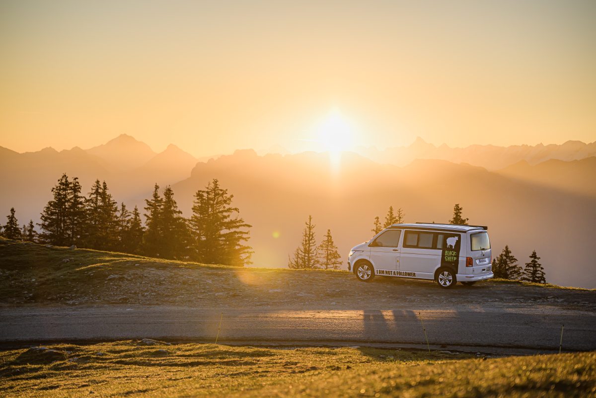 Blacksheep Van
