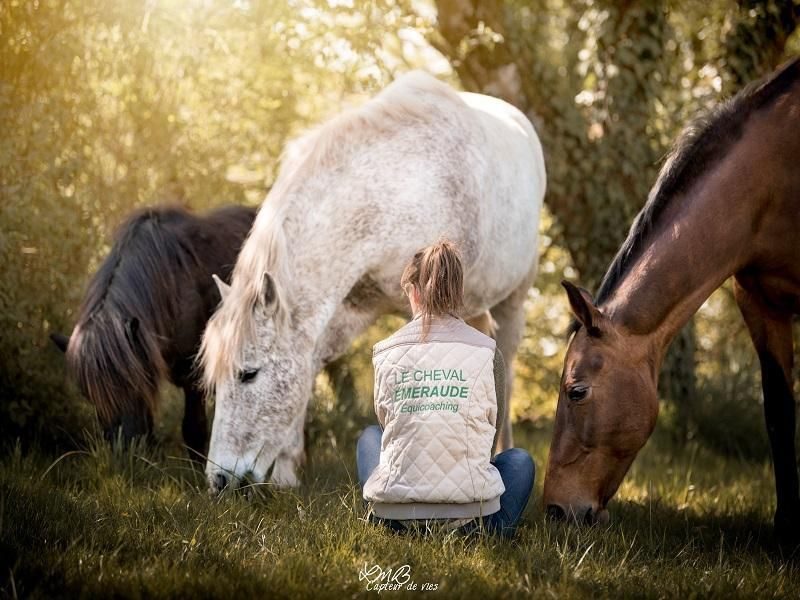 Vacances d'été au Cheval Emeraude