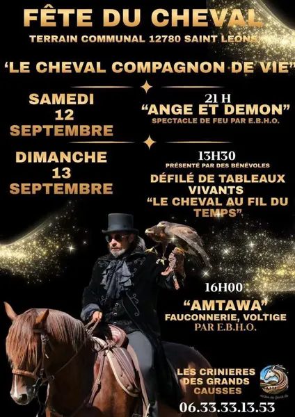 Fête du cheval