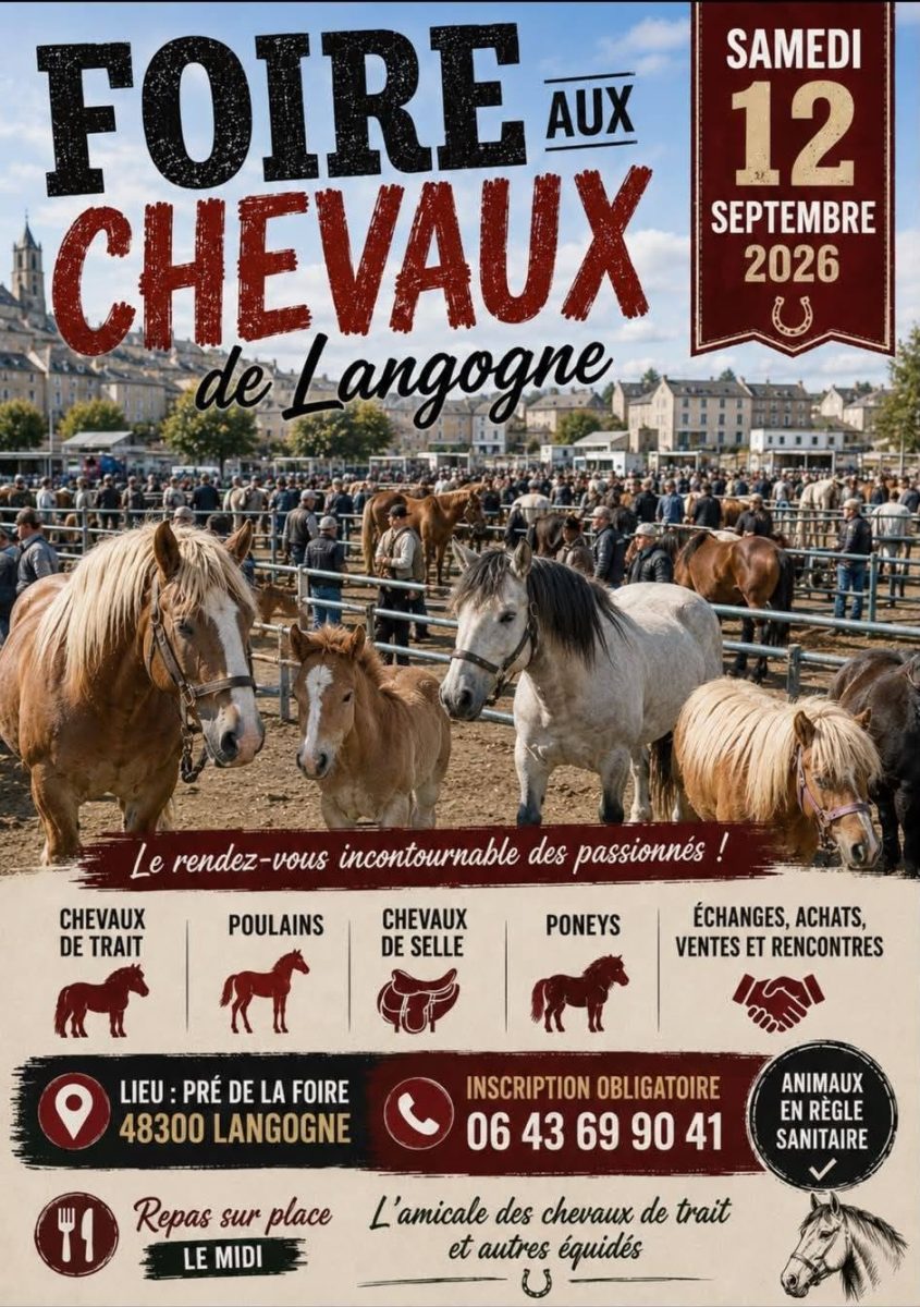 FOIRE AUX CHEVAUX