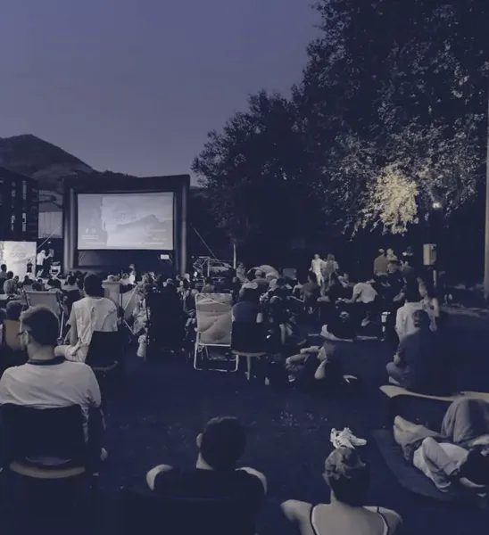 Ciné-noctambule