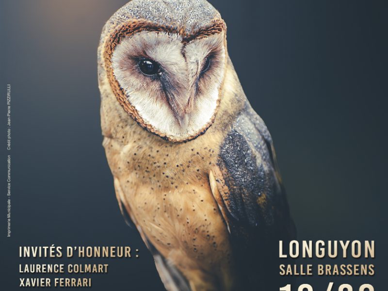 Salon de la photographie "Mille et un regards"