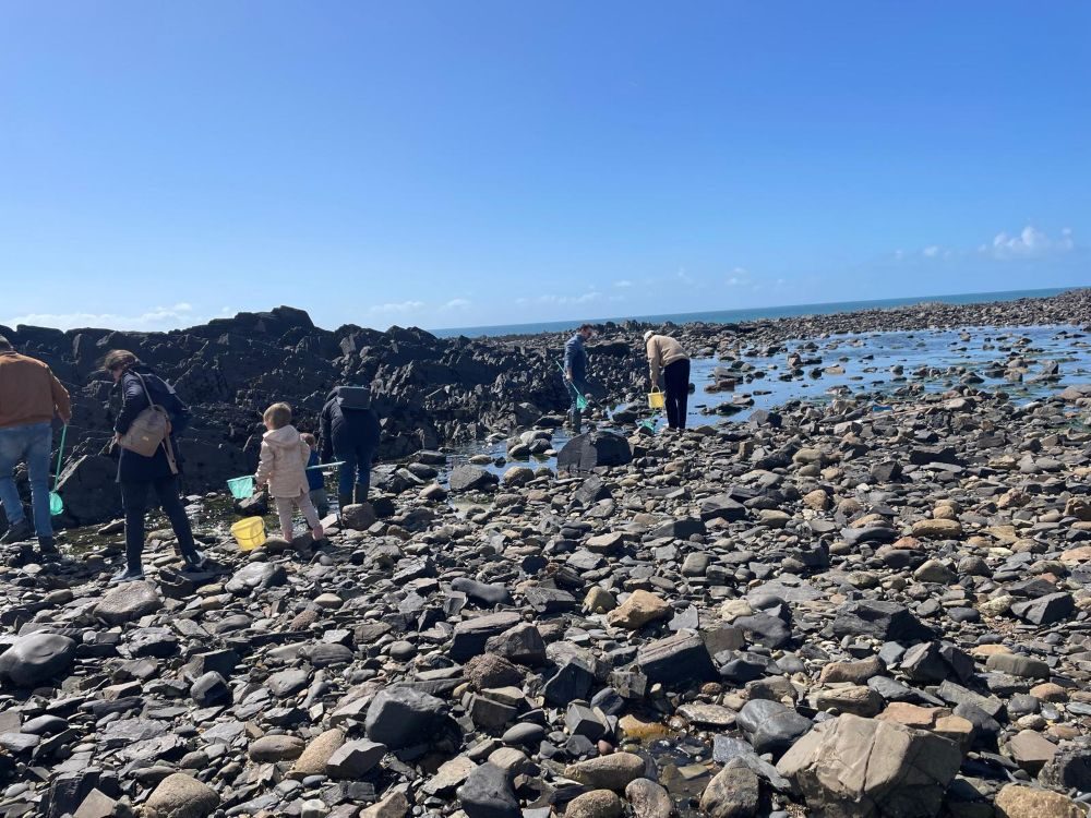 Découverte de la pêche à pied