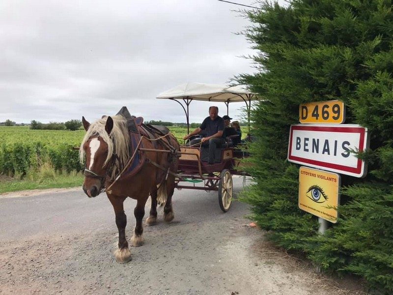 Vignobles en scène ! - Balade en calèche