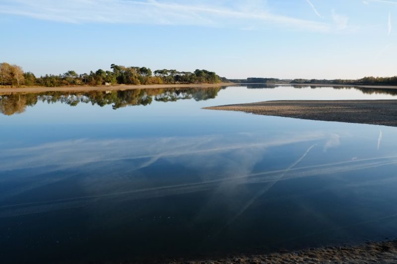 Histoire des paysages de Brenne