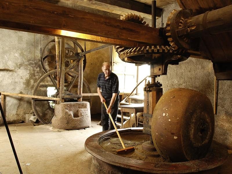 Production et dégustation au moulin
