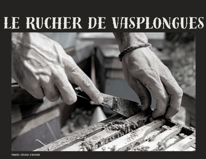 LE RUCHER DE VASPONGLES