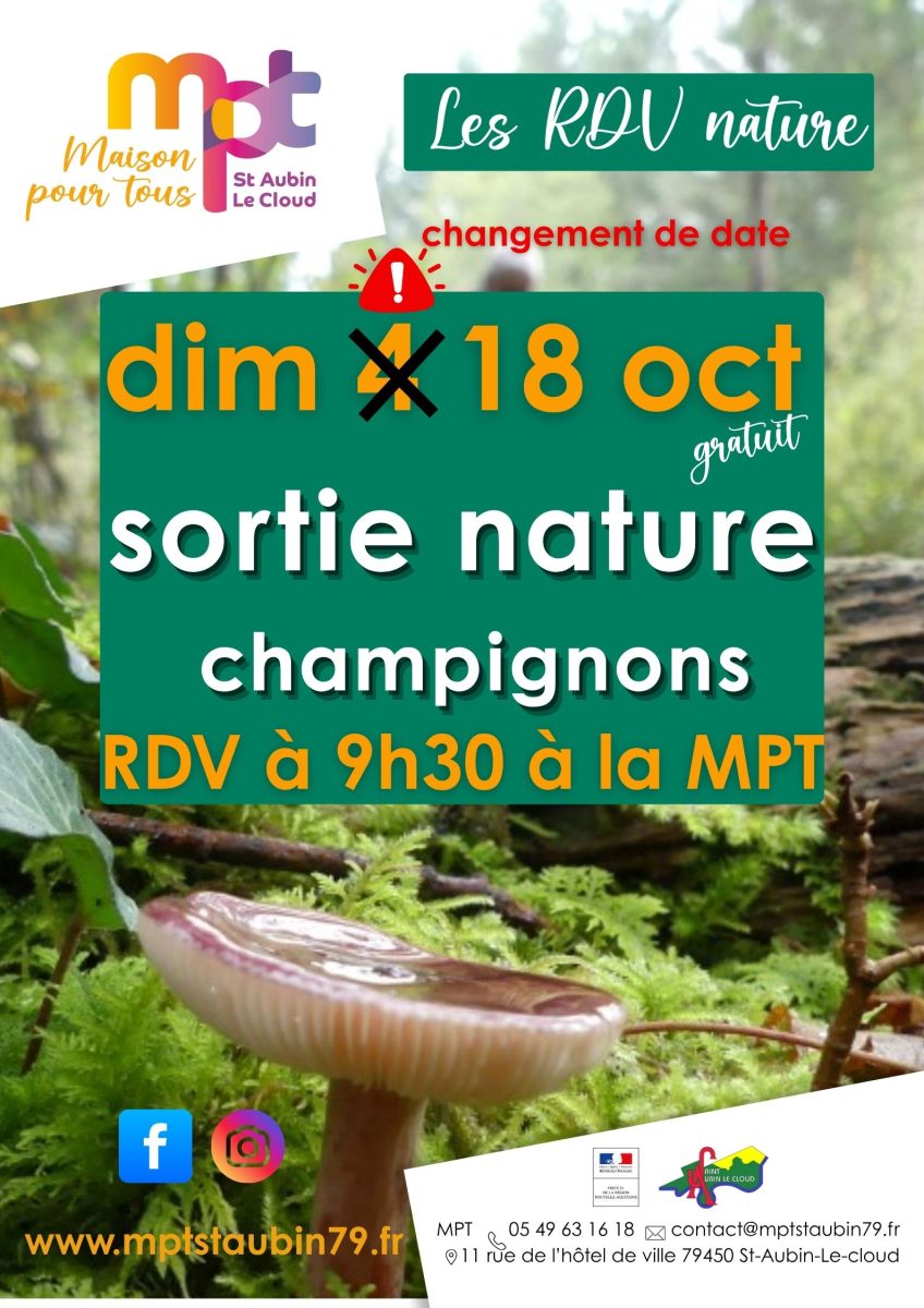Sortie nature : champignons