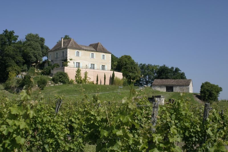 Visite bout de rang et dégustation | Domaine de l'Ancienne Cure