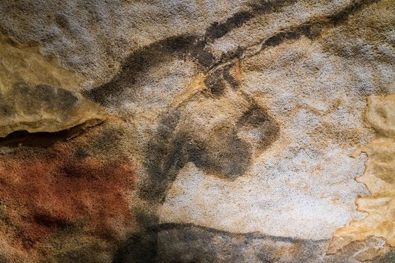 Visite "Chronique d'une découverte"