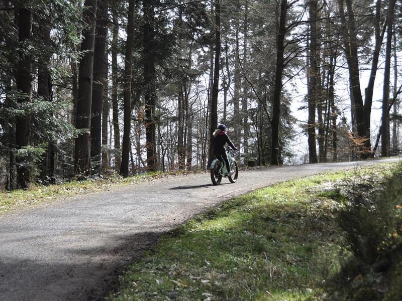 Location vélos électriques Vallée de Villé