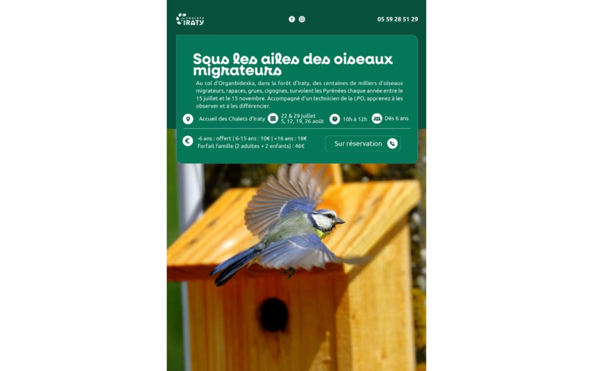 Sous les ailes des oiseaux migrateurs