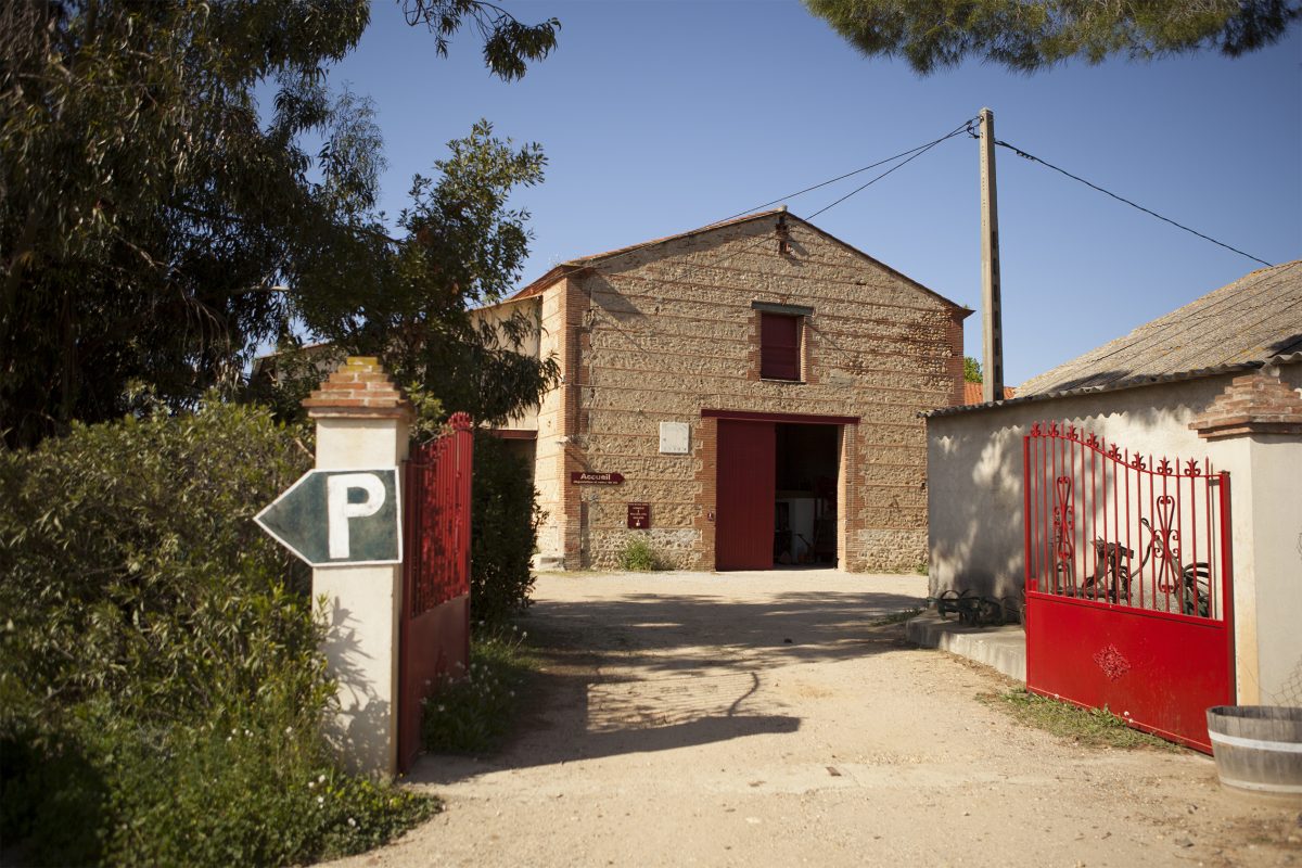 DOMAINE DU MAS ALART
