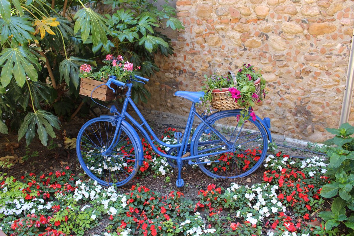 VISITE GUIDÉE À VÉLO
