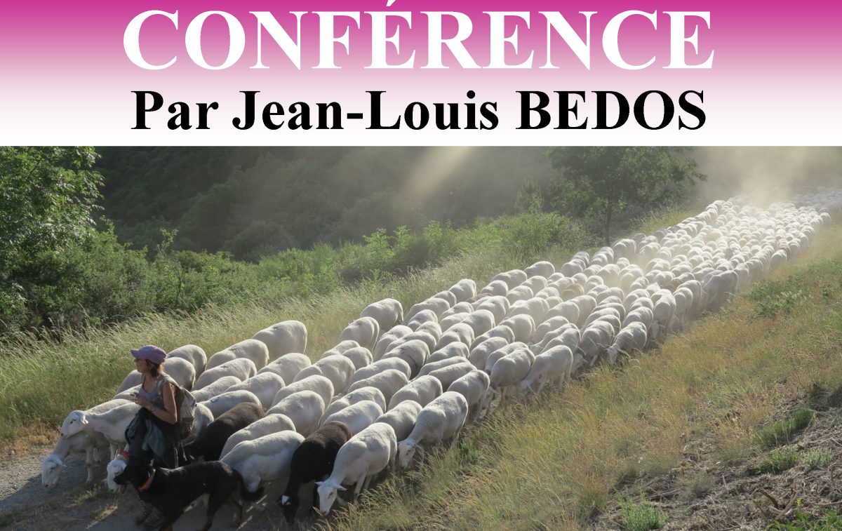 CONFÉRENCE - LA TRANSHUMANCE OVINE SUR LES HAUTES TERRES DU GÉVAUDAN