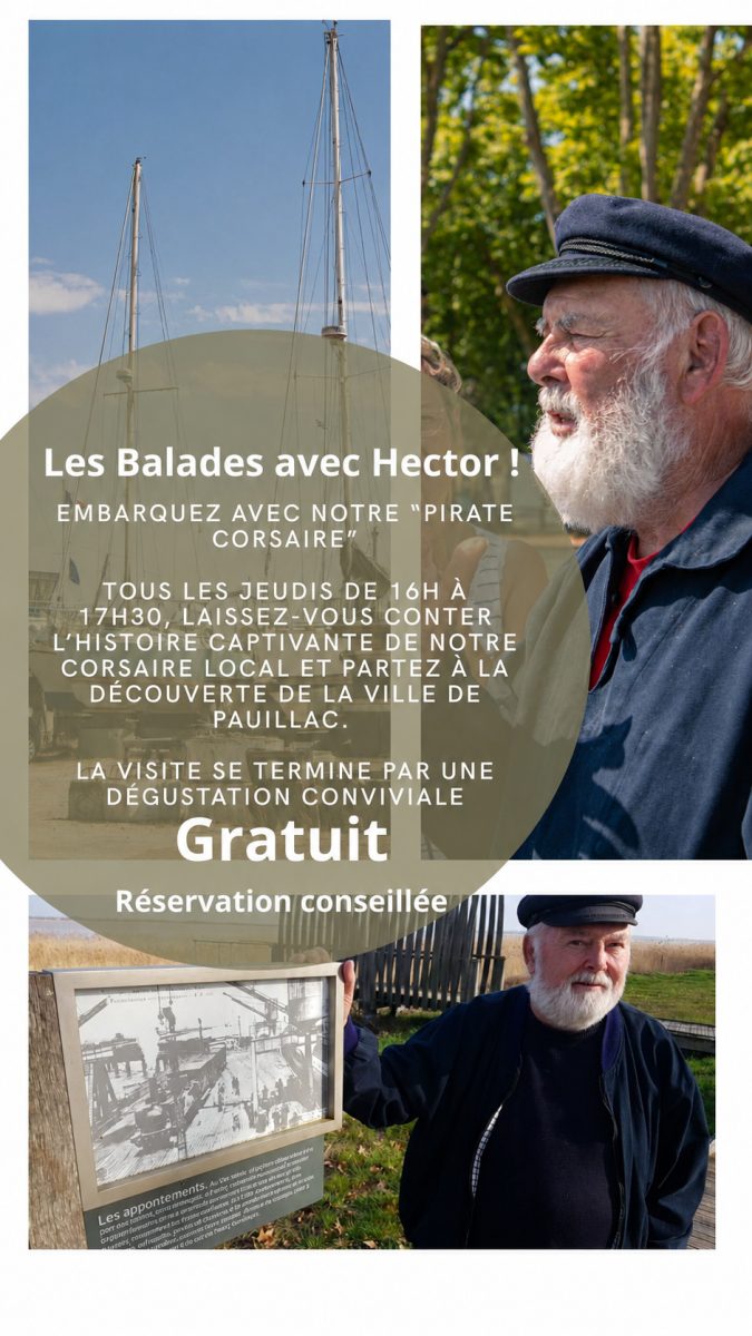Balades avec Hector « Pirate corsaire à la barbe fleurie »