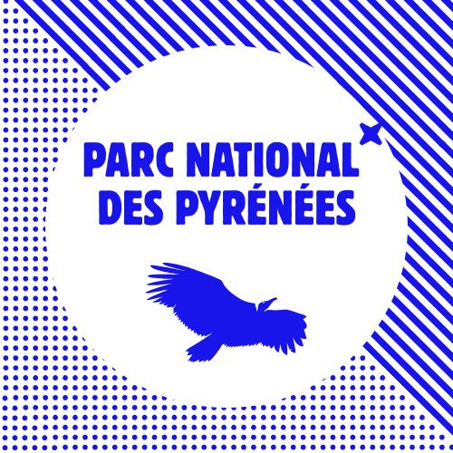 Nuit internationale de la chauve souris