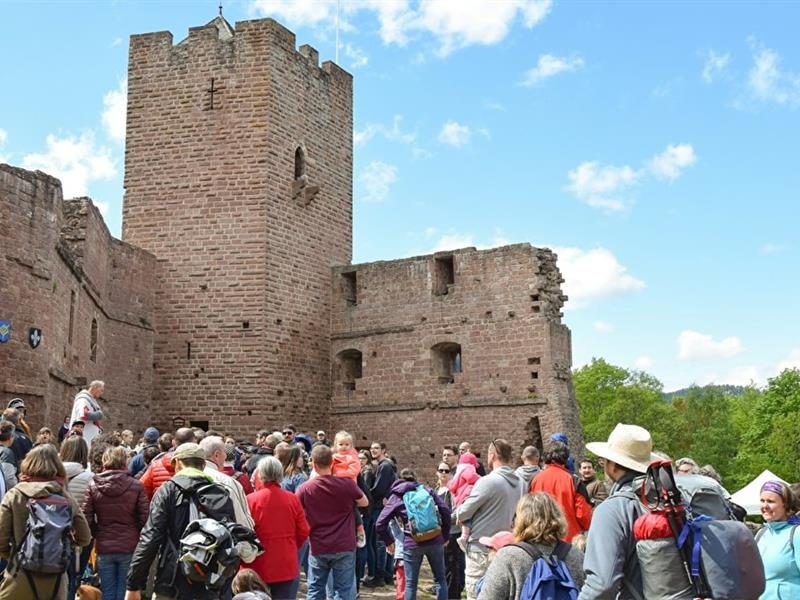 Expériences : Visite guidée château Wangenbourg