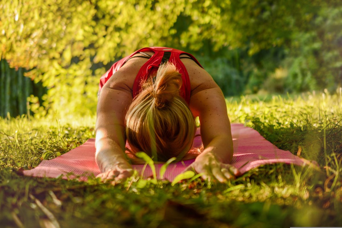 Formule Sport : Fitness
