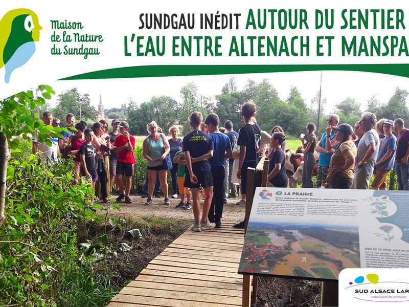 Autour du sentier de l'eau entre Altenach et Manspach