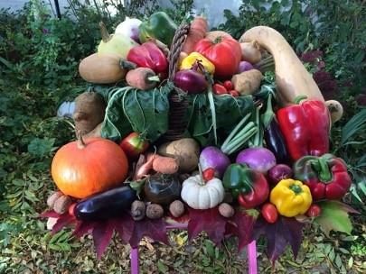 Exploitation agricole Sylvie Bourguignon