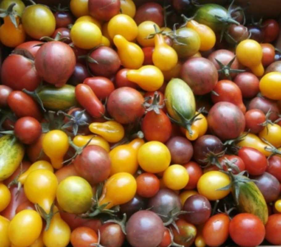 Marché produits locaux- Le petit marché varennais -  Andilly-en-Bassigny
