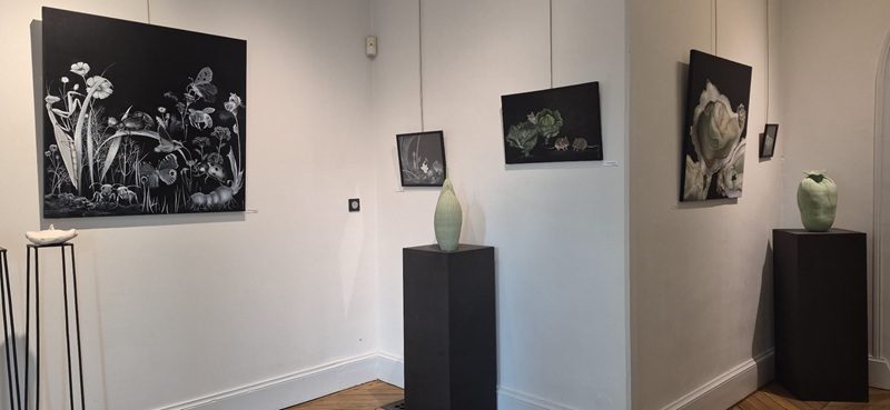 Exposition à la Maison de Loire : Harmonie sauvage