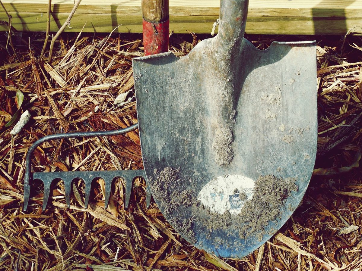 Chantier participatif à la Trimouille