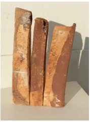 Les Arts en Fête : Expositions Sculptures et Dessins