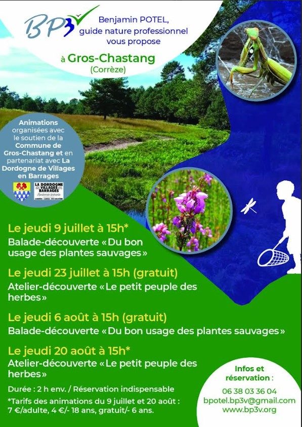 Atelier découverte "Le petit peuple des herbes"