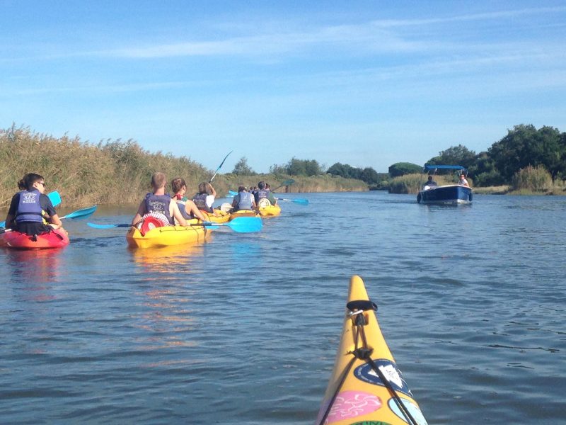 Sortie "La pointe ou Leyre et Delta" en canoë avec Amazone