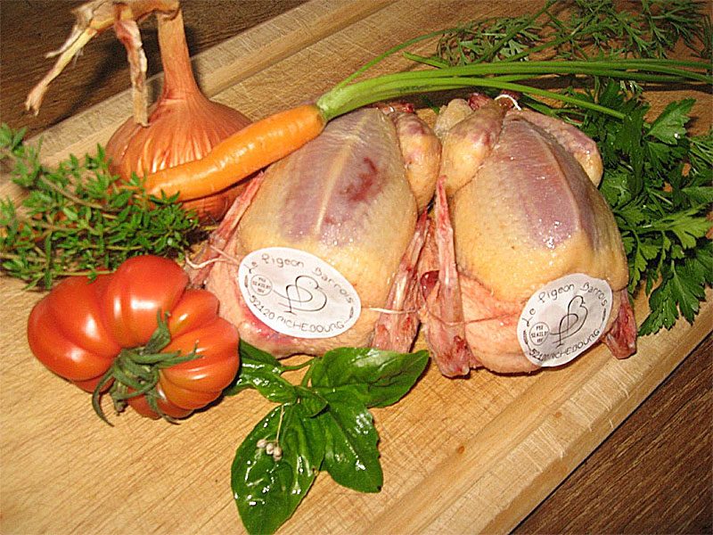 Le Pigeon Barrois