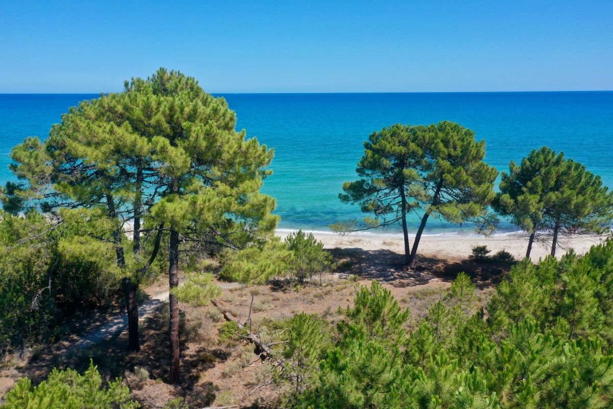 OFFICE DE TOURISME INTERCOMMUNAL FIUM'ORBU CASTELLU