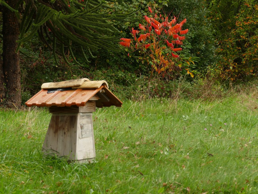 Animations abeilles