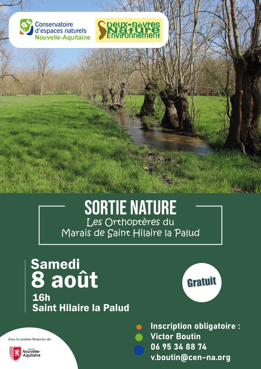 Sortie nature : Les Orthoptères du Marais de Saint-Hilaire-la-Palud
