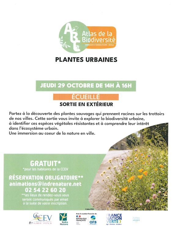 Sortie nature : plantes urbaines