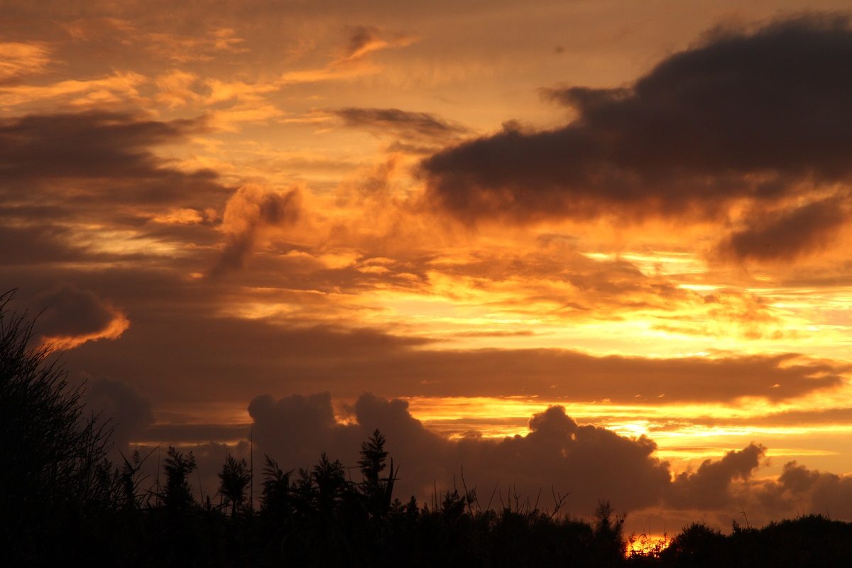 La Réserve naturelle de Beauguillot au crépuscule