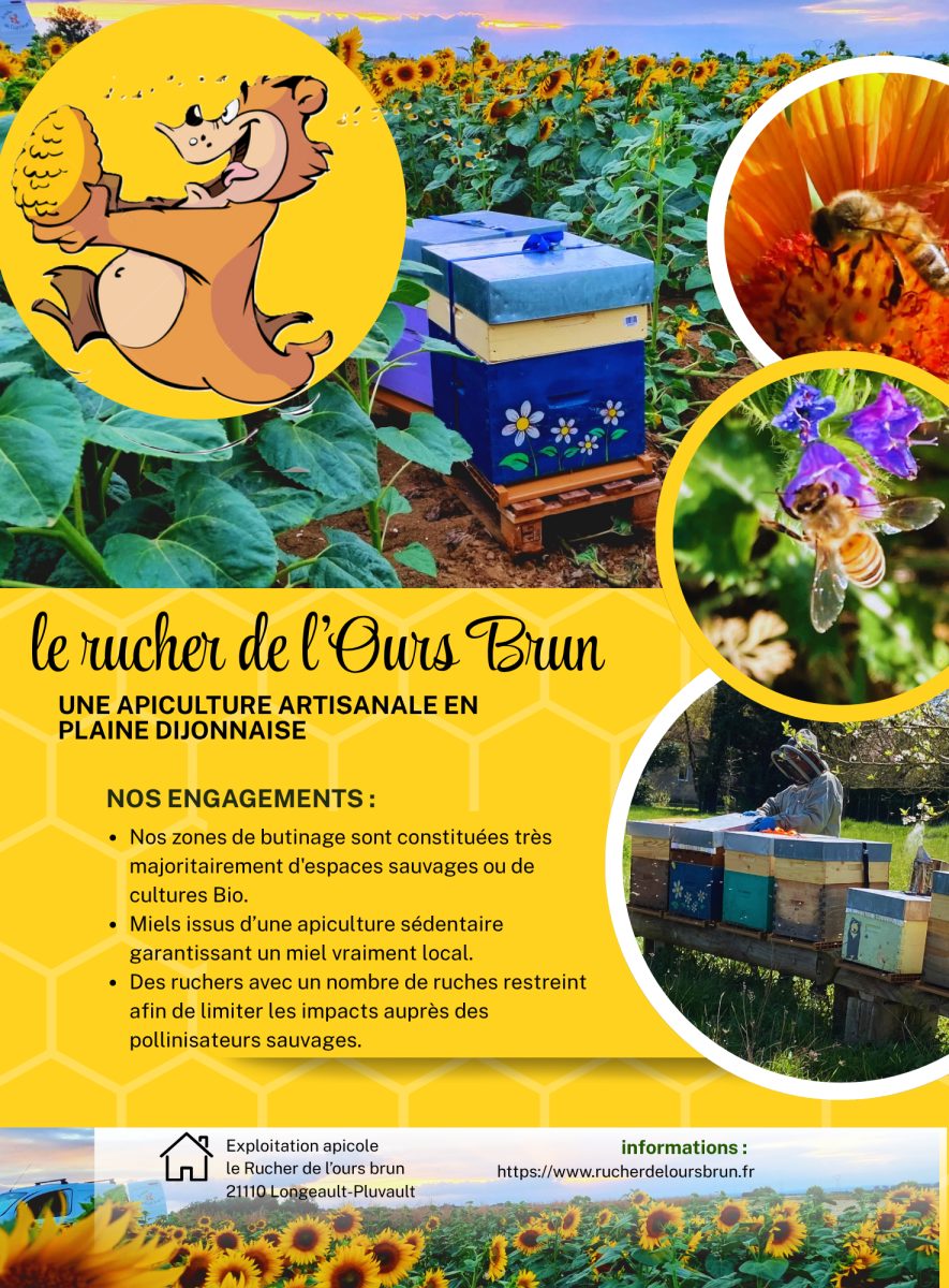 Le Rucher de l'Ours Brun