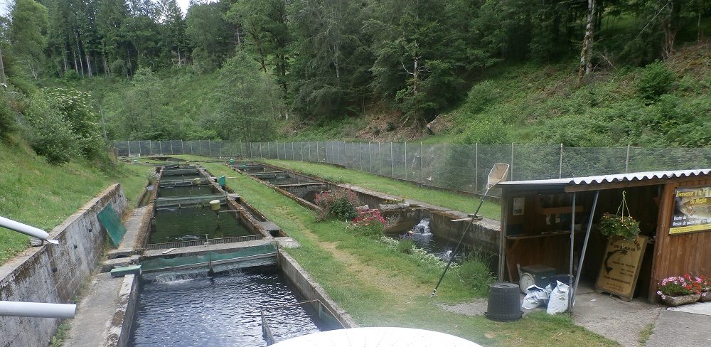 Pisciculture du Moulin de Grandsaigne