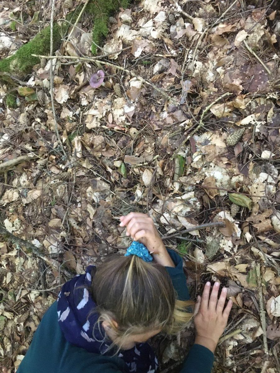 JOUER ET RÊVER DANS LES BOIS