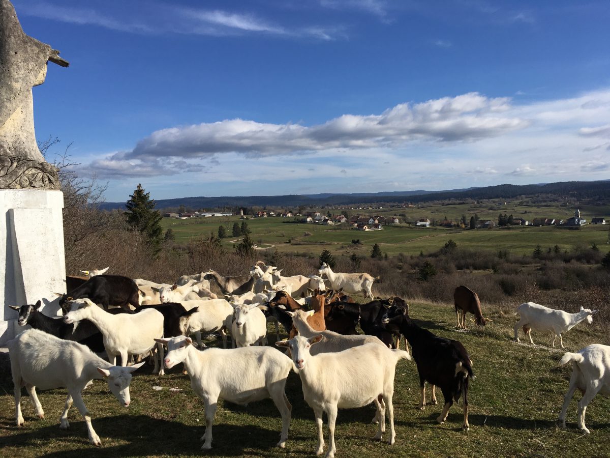 Ferme de la Fruitière