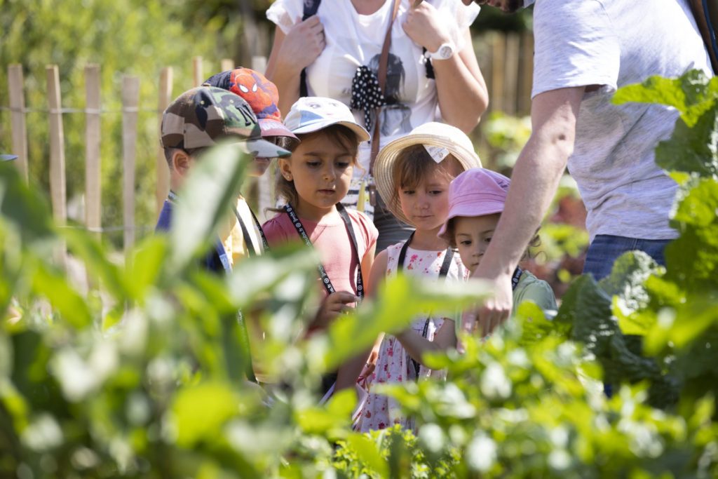 LES P’TITS ATELIERS DE LA BIODIVERSITE