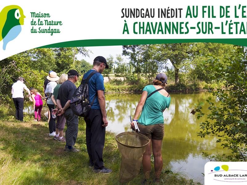 Au fil de l'eau à Chavannes/l'Étang